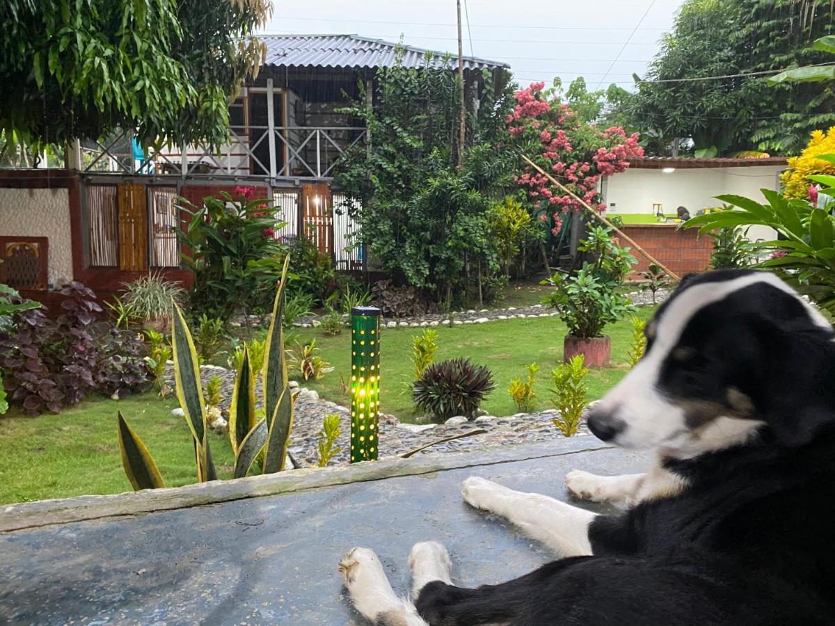 Wayanay Tayrona Eco Hostel El Zaino Luaran gambar