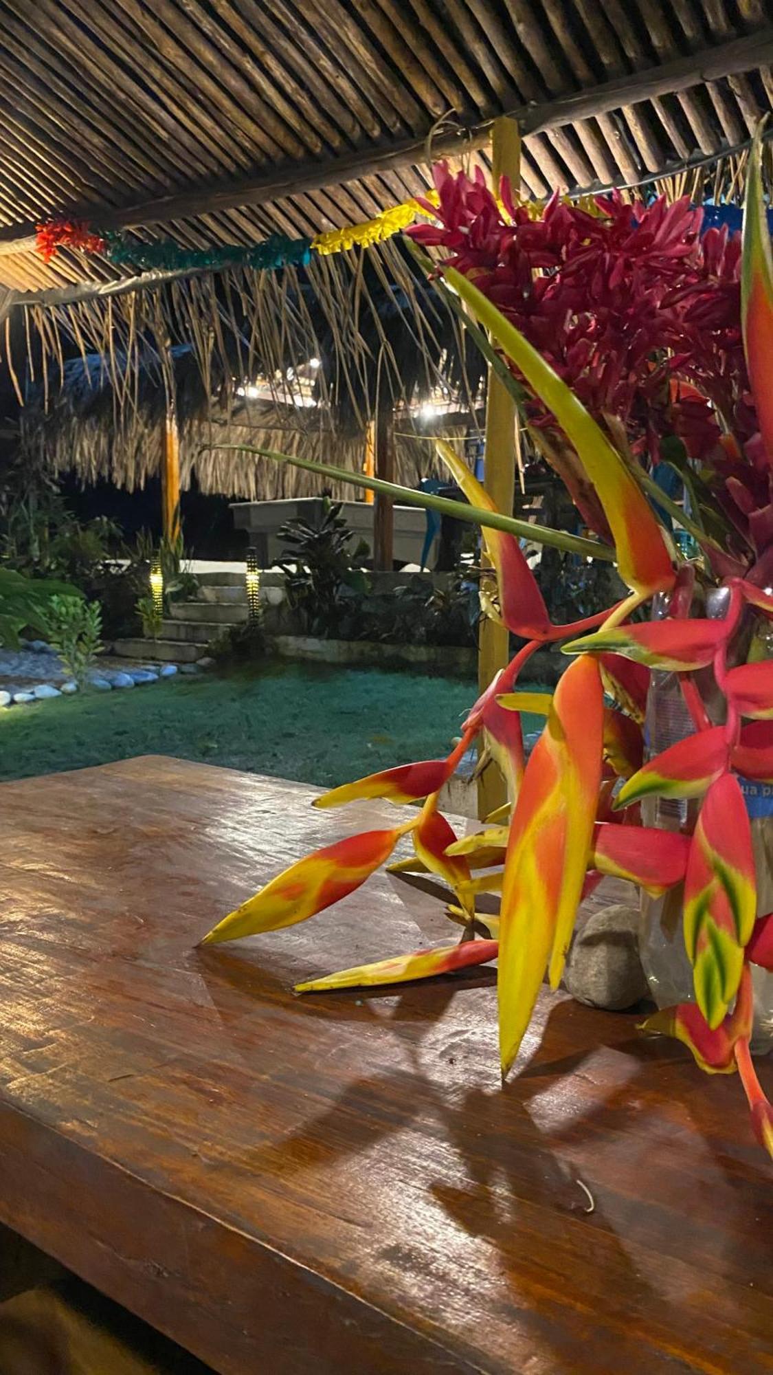 Wayanay Tayrona Eco Hostel El Zaino Luaran gambar