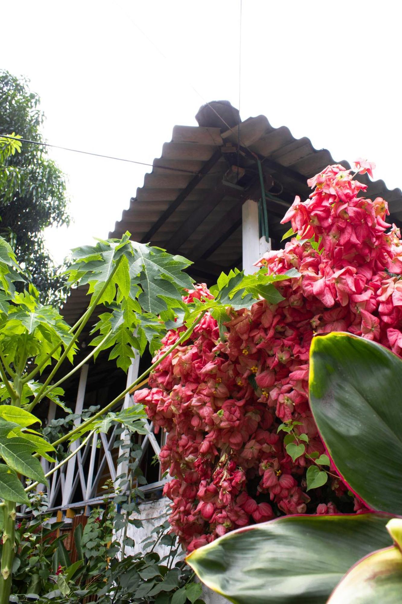 Wayanay Tayrona Eco Hostel El Zaino Luaran gambar
