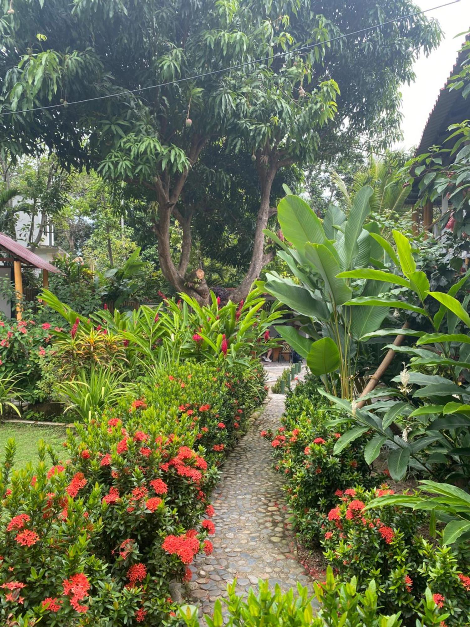 Wayanay Tayrona Eco Hostel El Zaino Luaran gambar