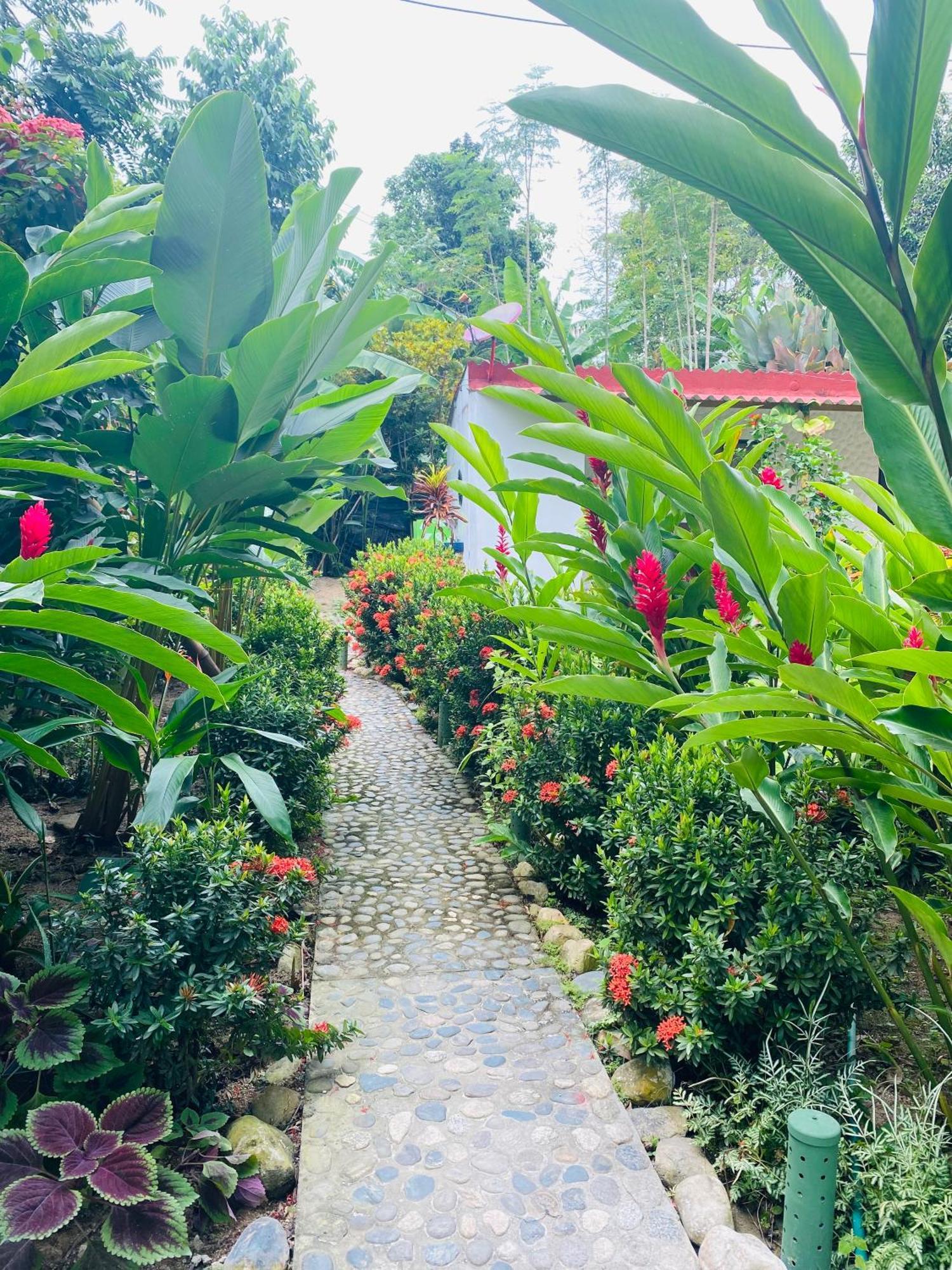 Wayanay Tayrona Eco Hostel El Zaino Luaran gambar